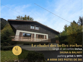 Chalet des Belles Roches, 14 pers, garden, sauna